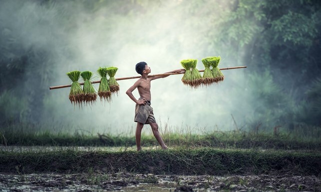 ATTIMI DI CAMBOGIA