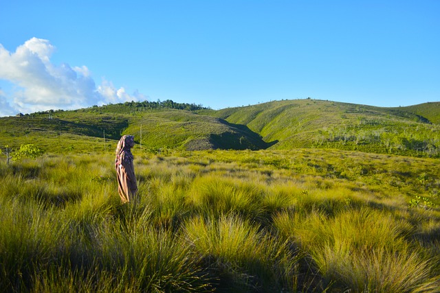 Makassar - Toraja