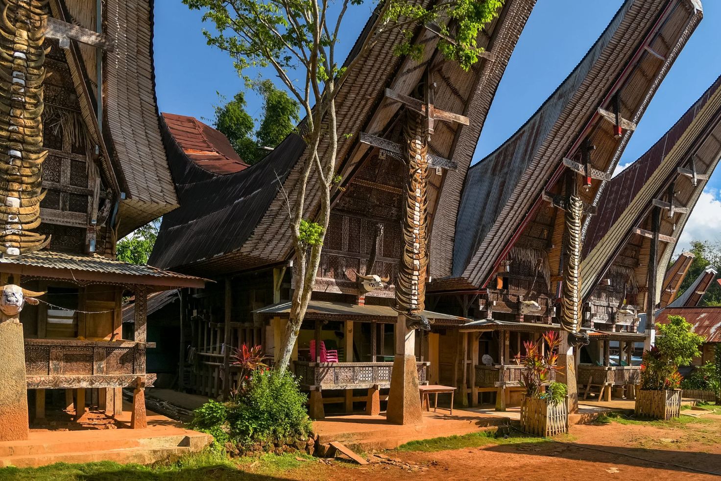 Tour di Toraja