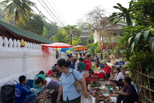 Tour della città di Luang Prabang