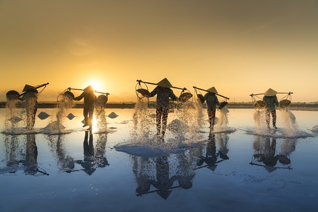 VIETNAM CLASSICO