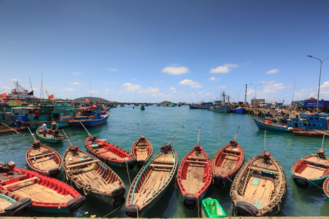 VIETNAM ESSENZIALE